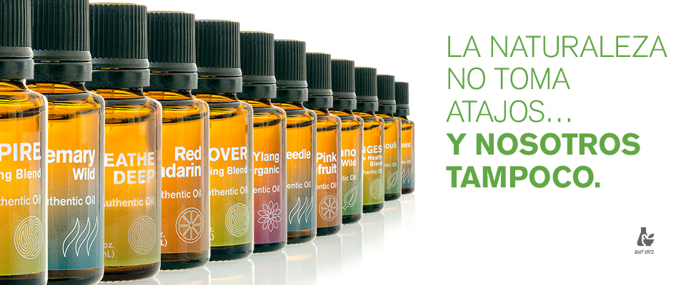 Click Here to Learn More